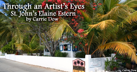 Through an Artist's Eyes: St. John's Elaine Estern